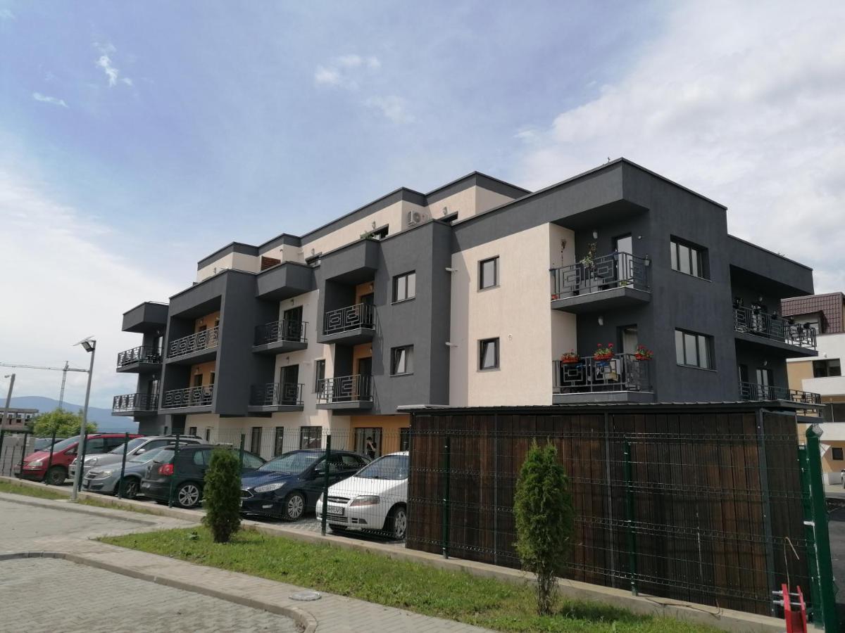 Ama Cu Terasa 50 Mp & Parcare
